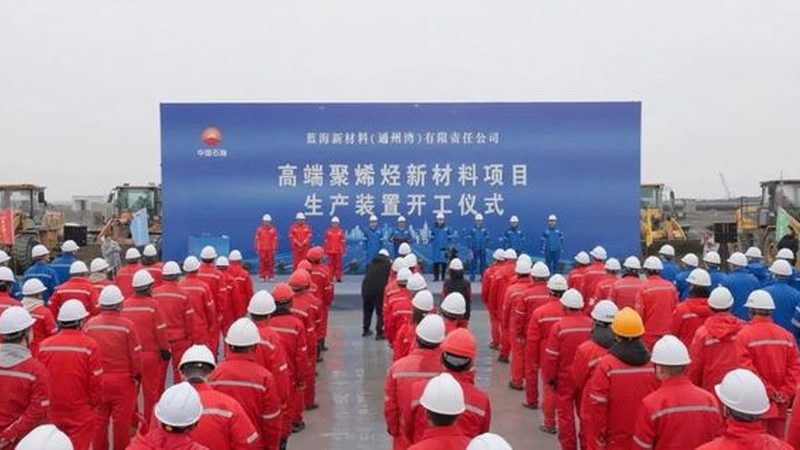 表面活性剂：2025年市场行情与选购要点